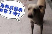 每天看娱乐吃瓜的说说,跟随热点，畅享娱乐圈风云变幻